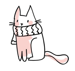foto gato